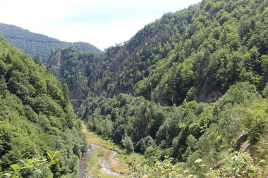 Dağlardaki dağ nehri.