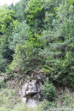 Şelalesi olan güzel bir manzara