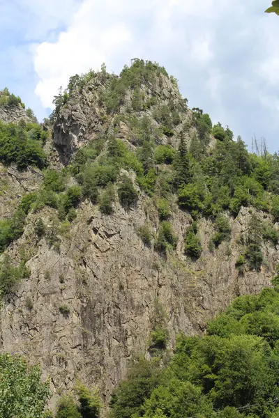 Dağlardaki manzara çok güzel. Doğa