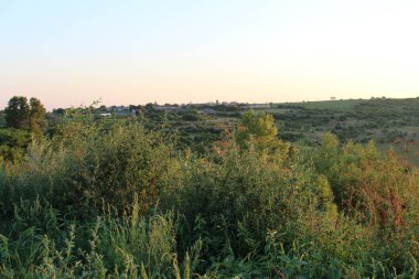 Arka planda ağaçlar ve alan olan manzara