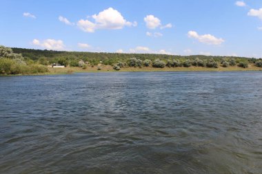 Volga nehrinin kıyısında bir nehir