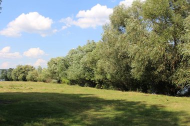 Nehir ağaçlarla çevrili.