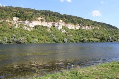 Ormandaki güzel nehir