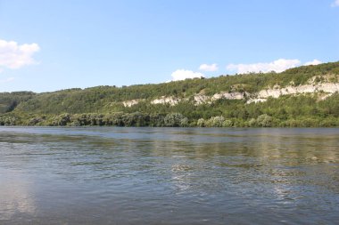 Ağaçlar ve ormanlarla dolu nehir manzarası
