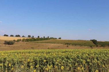 Doğanın güzel manzarası