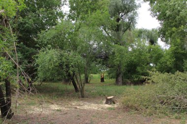 Parkın güzel manzarası