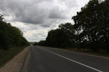 Ormanda yol, kırsalda yol.
