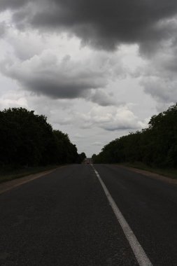 Ormanda ağaçlarla dolu boş bir yol.