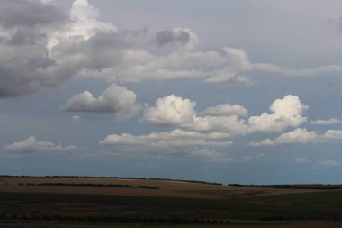 Yazın kırsalda beyaz buğday tarlası ve bulutlu bir gökyüzü.