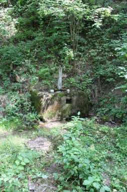 Ormanda yürümek için bir taş kuyusu.