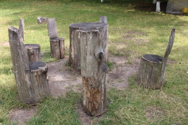 Parktaki eski ahşap çit