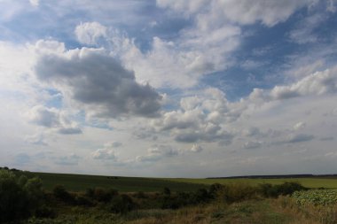 Yeşil çimenlerle ve bulutlu gökyüzüyle güzel bir manzara.