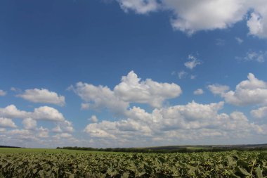 Mavi gökyüzü ve beyaz bulutlar