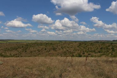 Portekiz 'in Entejo bölgesindeki Monmondo köyünün kırsal manzarası.
