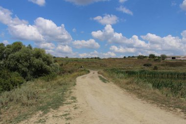 Buğday tarlasına giden bir yol.