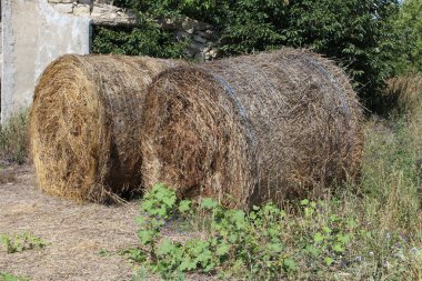 haystacks çayır üzerinde