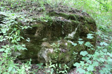 Taşın güzel bir görüntüsü.