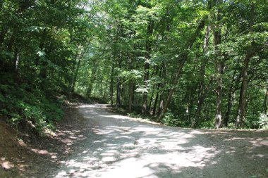 Doğanın güzel manzarası