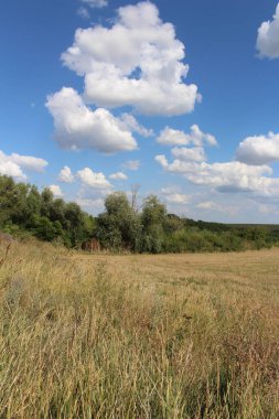 Doğanın güzel manzarası