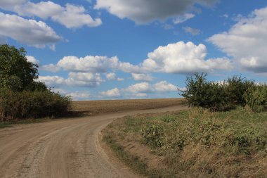 Ormandaki toprak yol. Yol ağaçların arasında.