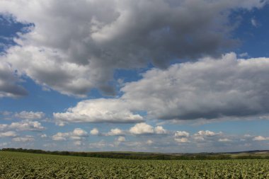 arka plan mavi gökyüzünde bulutlar