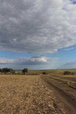 Kırsal alan, İspanya, bulutlu gökyüzü