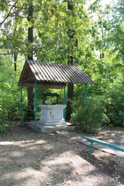 Parktaki eski ahşap ev.