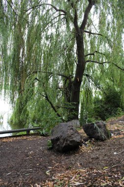 Hollanda 'daki parkın şehri.