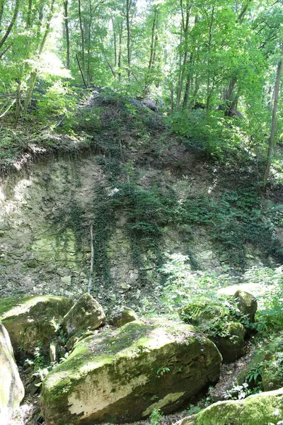 stock image the ruins of an ancient fortress