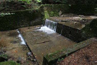 Ormanda eski bir taş