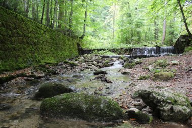 Nehirdeki şelale, Karpat Dağları, Ukrayna