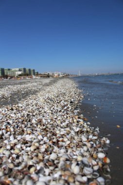 Sicilya adasının plajı.