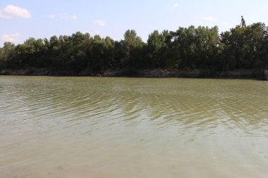 Ağaçları ve mavi gökyüzü olan nehir