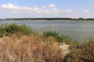 Şehirdeki nehir manzarası