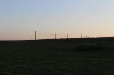 Buğday tarlası olan güzel bir manzara.