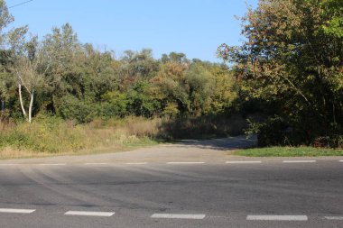 Sonbaharda kırlarda yol