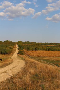 kırsal yol ve tarlalar