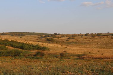 manzara, doğa ve alan