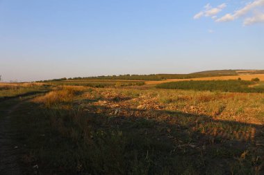 Bir yolu olan arazi manzarası