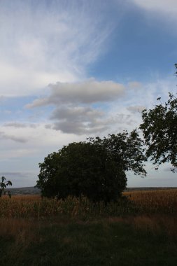 Doğanın güzel manzarası