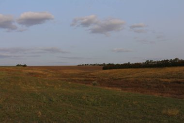 Arkasında büyük bir ağaç olan bir alan