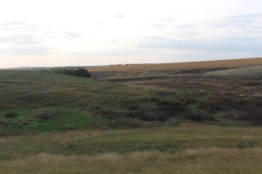 Güzel bir tarla ve bulutlu bir gökyüzü.