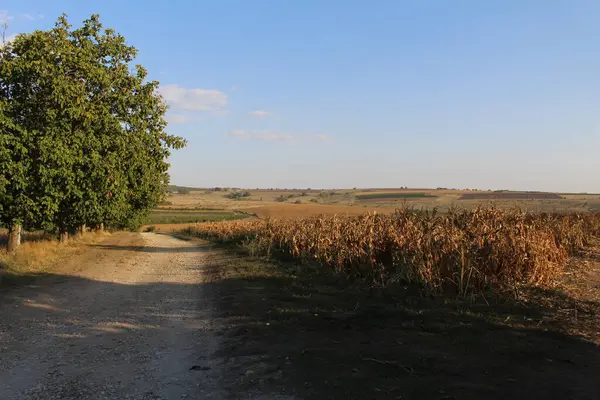 stock image road through the countryside