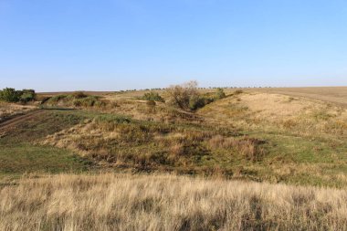Çimen tarlası ve bulutlu gökyüzü olan güzel bir manzara.