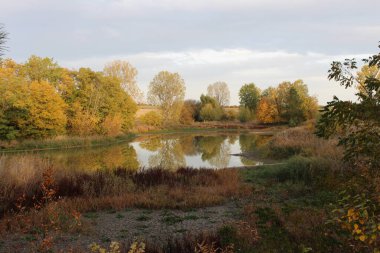 Nehirli sonbahar manzarası