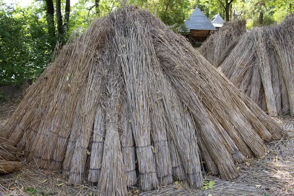 stock image the roof of the house. roof made of logs