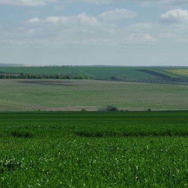 Kırsal alanda yeşil alan