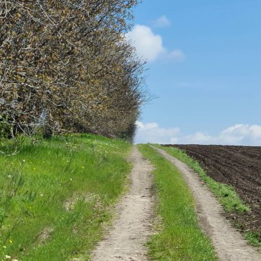 Kırsalda yol