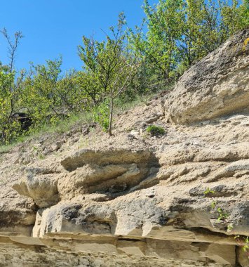 Doğanın güzel manzarası