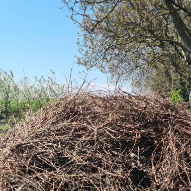 Bir tarlada eski kuru ot yığını.